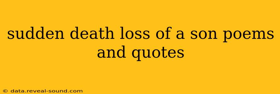 sudden death loss of a son poems and quotes