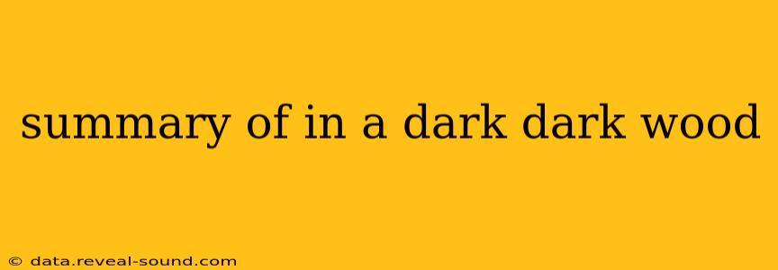 summary of in a dark dark wood