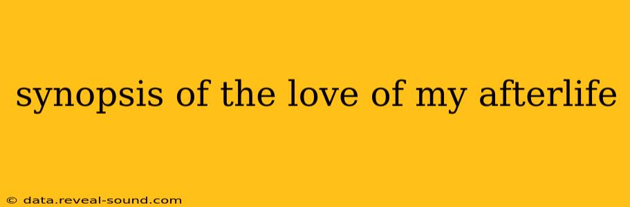 synopsis of the love of my afterlife