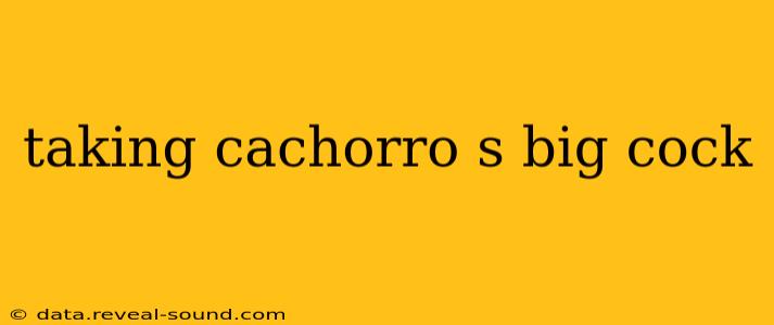 taking cachorro s big cock taking cachorro s big cock