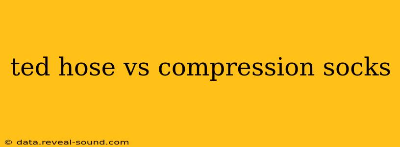 ted hose vs compression socks