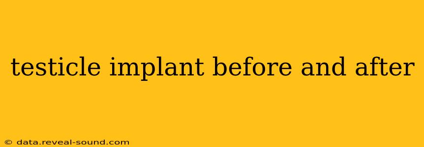 testicle implant before and after