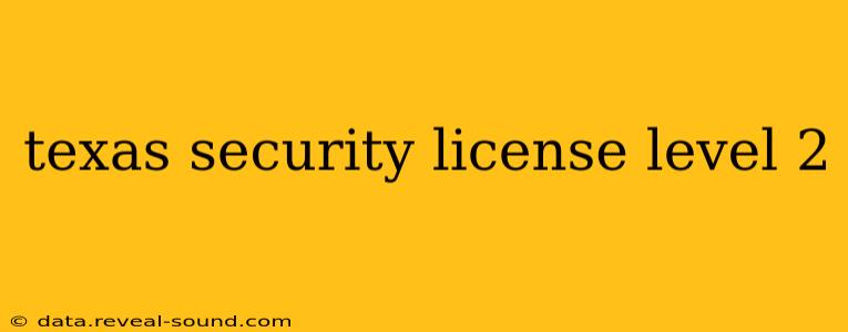 texas security license level 2