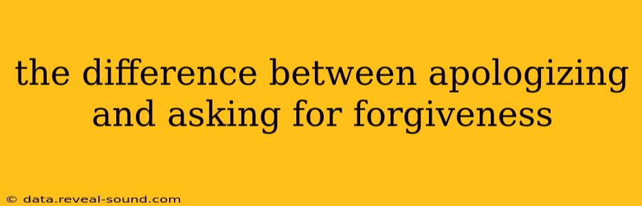 the difference between apologizing and asking for forgiveness