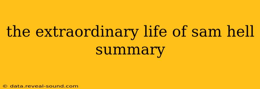 the extraordinary life of sam hell summary