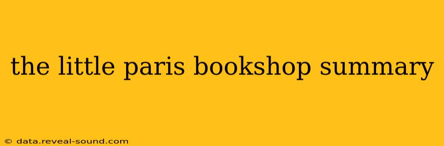 the little paris bookshop summary