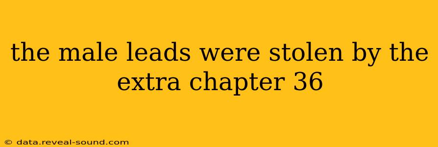 the male leads were stolen by the extra chapter 36