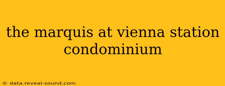 the marquis at vienna station condominium