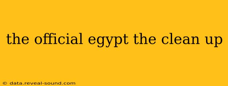 the official egypt the clean up