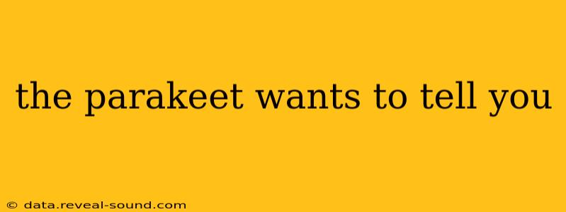the parakeet wants to tell you