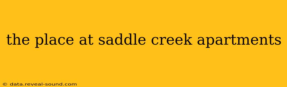 the place at saddle creek apartments
