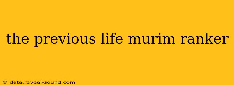 the previous life murim ranker