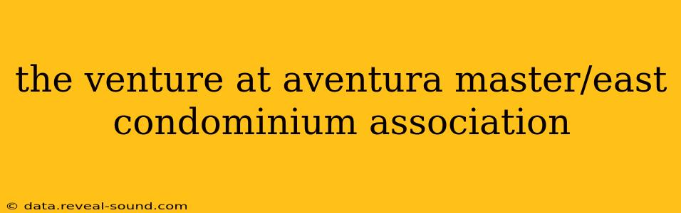 the venture at aventura master/east condominium association