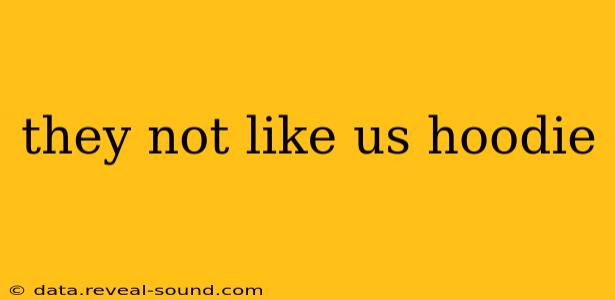 they not like us hoodie