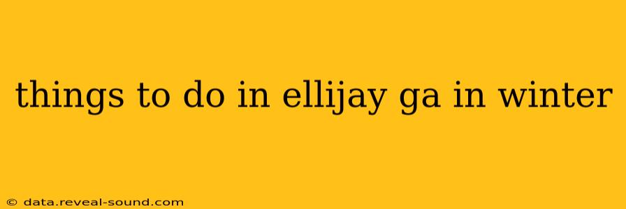 things to do in ellijay ga in winter