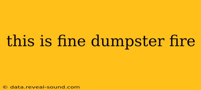 this is fine dumpster fire this is fine dumpster fire