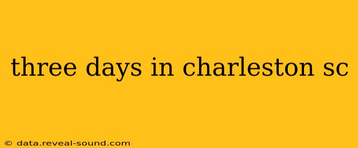 three days in charleston sc