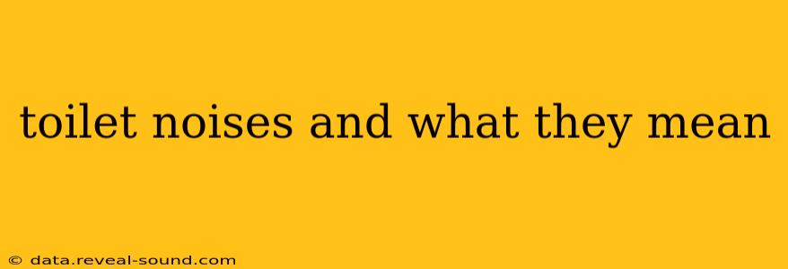 toilet noises and what they mean