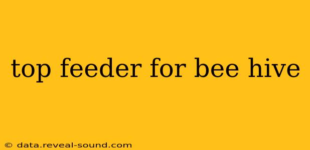 top feeder for bee hive