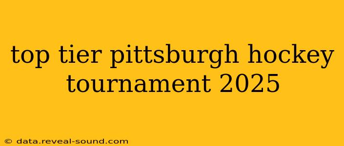 top tier pittsburgh hockey tournament 2025