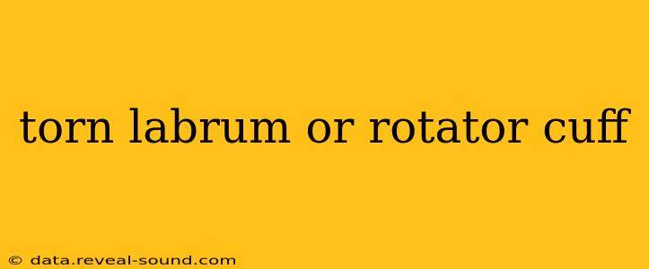 torn labrum or rotator cuff