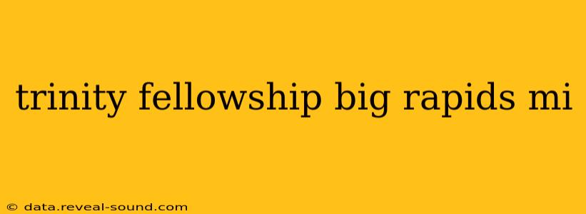 trinity fellowship big rapids mi