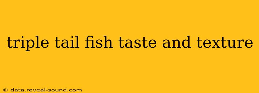 triple tail fish taste and texture