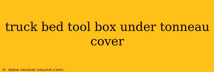 truck bed tool box under tonneau cover