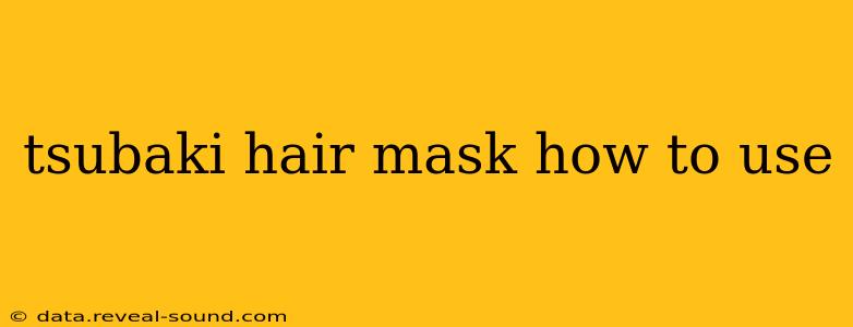 tsubaki hair mask how to use