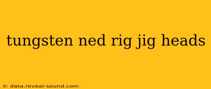 tungsten ned rig jig heads