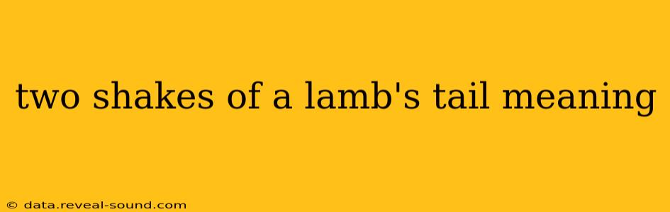 two shakes of a lamb's tail meaning