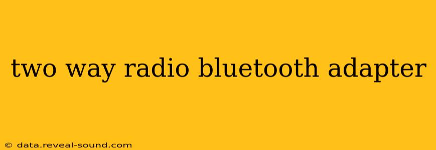 two way radio bluetooth adapter