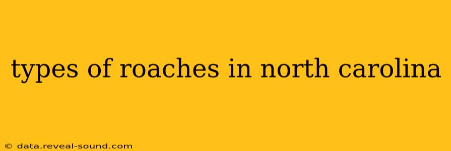 types of roaches in north carolina
