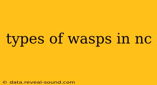 types of wasps in nc