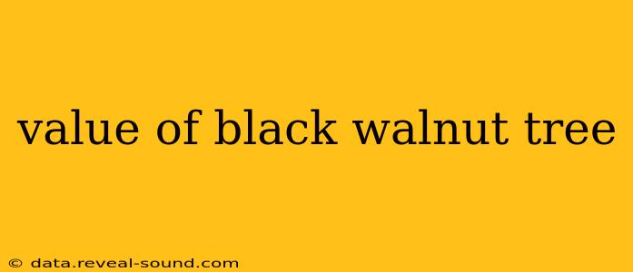 value of black walnut tree