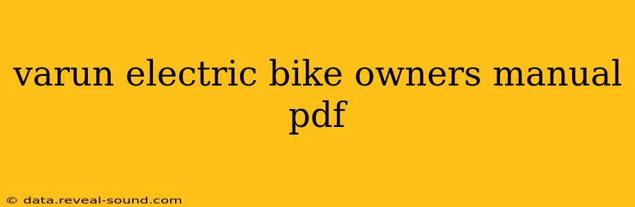 varun electric bike owners manual pdf