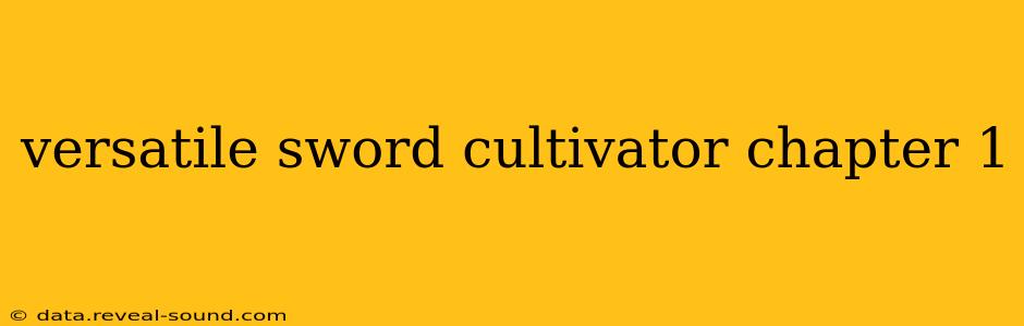 versatile sword cultivator chapter 1