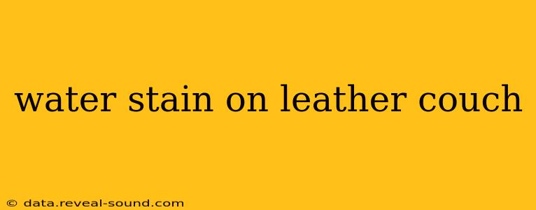 water stain on leather couch