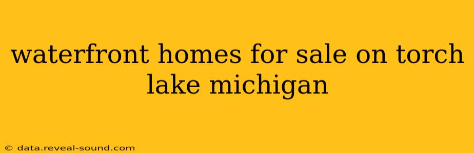 waterfront homes for sale on torch lake michigan