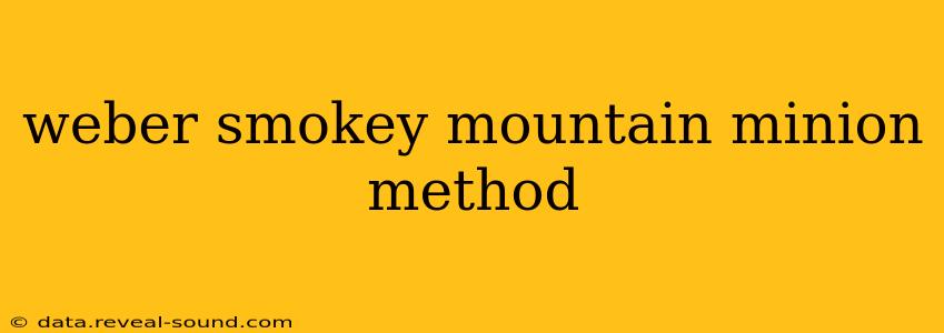 weber smokey mountain minion method