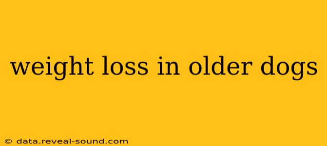 weight loss in older dogs