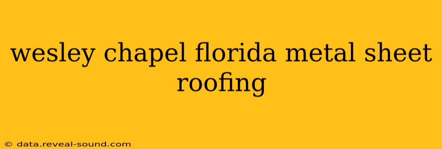 wesley chapel florida metal sheet roofing