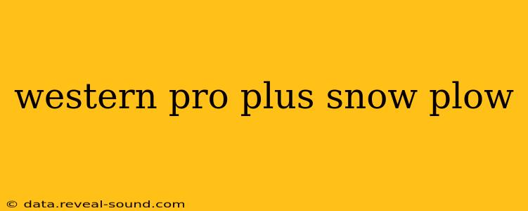 western pro plus snow plow