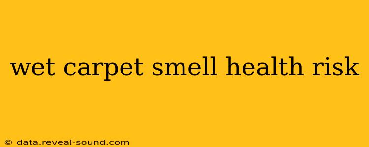 wet carpet smell health risk