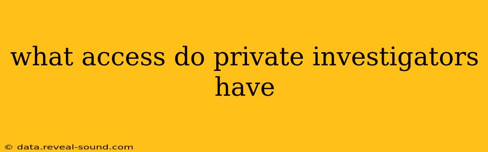 what access do private investigators have