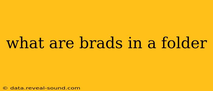 what are brads in a folder