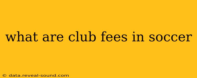 what are club fees in soccer