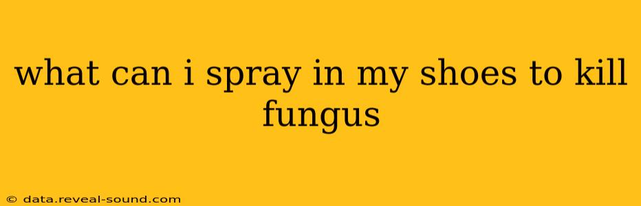 what can i spray in my shoes to kill fungus