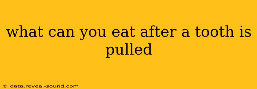 what can you eat after a tooth is pulled