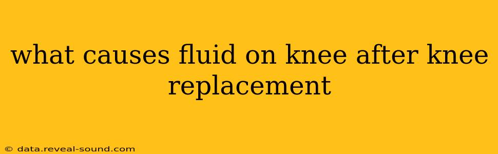 what causes fluid on knee after knee replacement